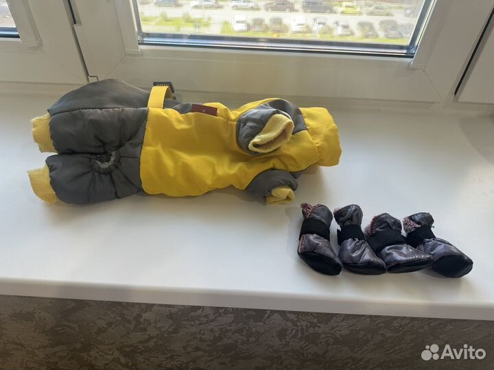 Одежда для собак мелких пород