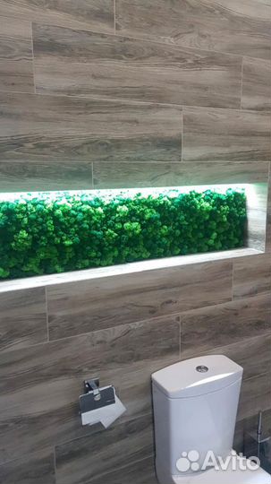 Панель из стабилизированного мха