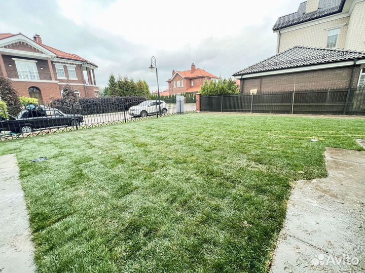 Рулонный газон под ключ