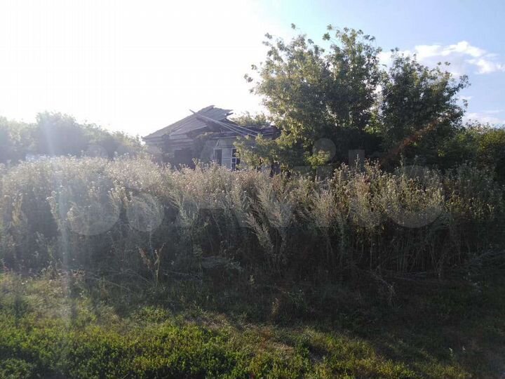 Дом 50 м² на участке 50 сот.