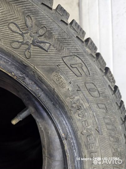 Cordiant Polar 2 175/65 R14