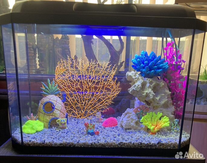 Аквариум