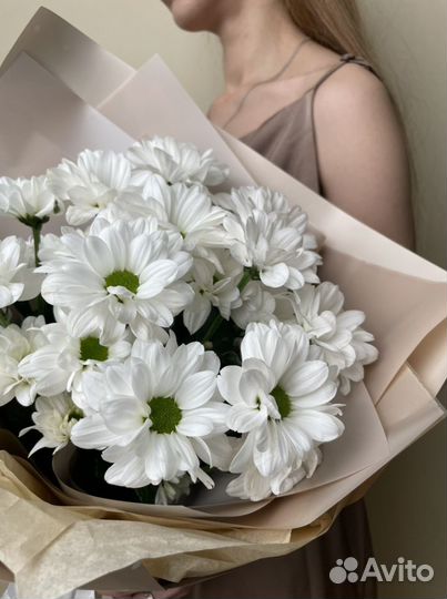 Ромашковая хризантема доставка