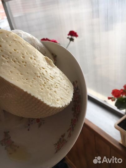 Сыр и творог домашние