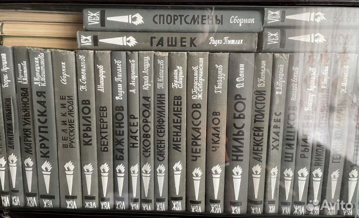 Книги из серии жзл