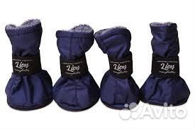 Обувь для собак