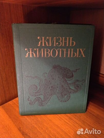 Жизнь животных и Марк Твен