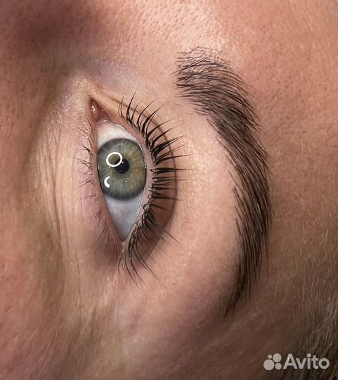 Брови и ресницы