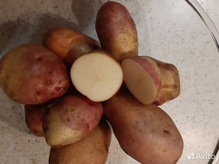 Картофель на зиму Кофта-Юбка