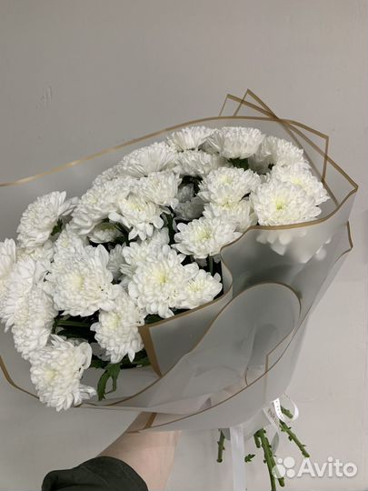 9 Хризантем в букете, есть доставка