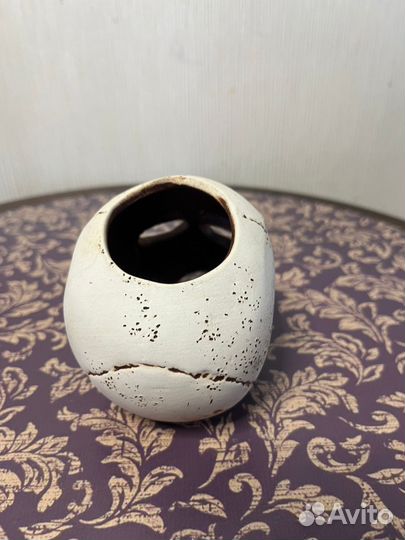 Террариум для рептилий