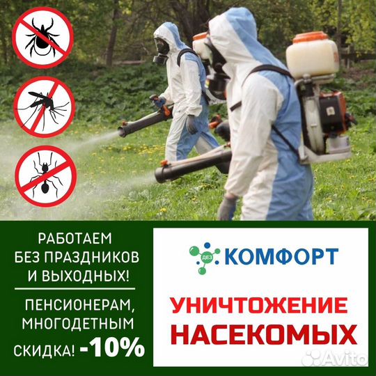 Дезинфекция Дезинсекция насекомых, дератизация