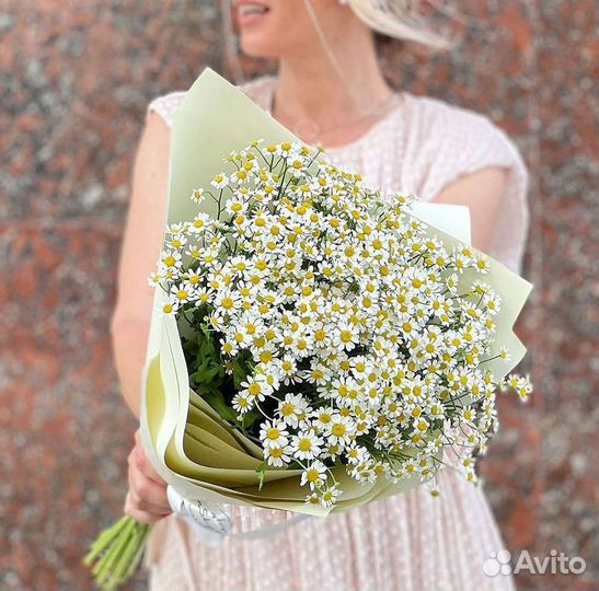 Букеты ромашек