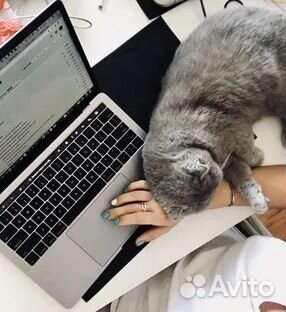 Работа из дома.Не продажи.Офиц.Операт.колл-центра