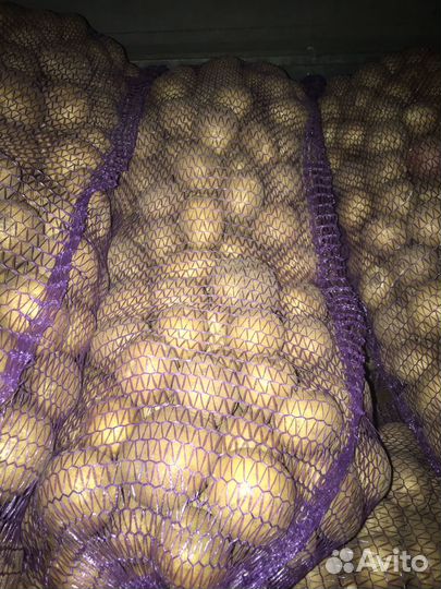 Картофель деревенский