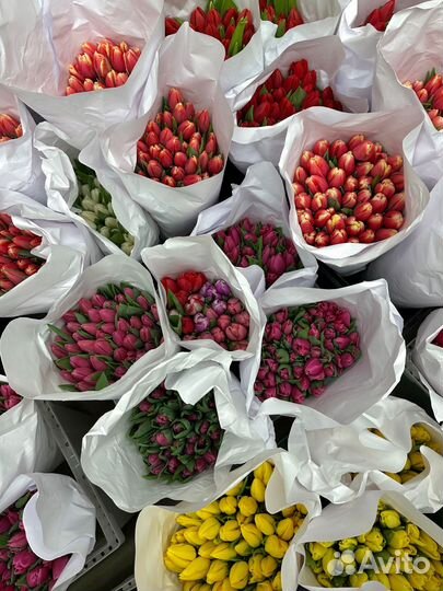 Букеты из тюльпанов к 8 марта с открыткой