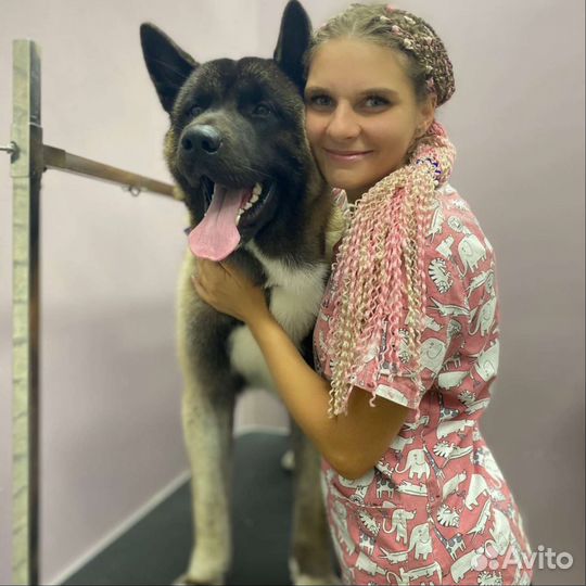 Стрижка животных. Грумер