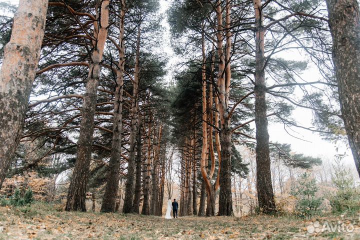 Фотосъемка и видеосъемка