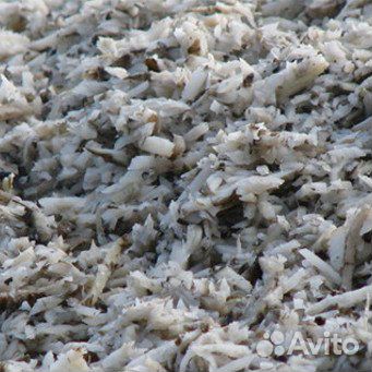 Жом свекольный