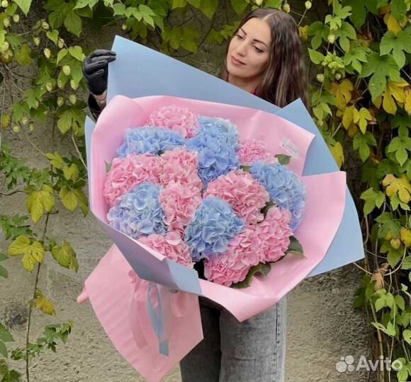 Гортензия букет