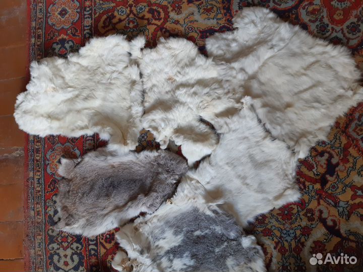 Шкурки кроличьи 12 шт