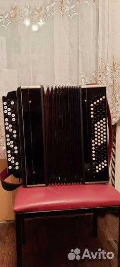 Баян тульский