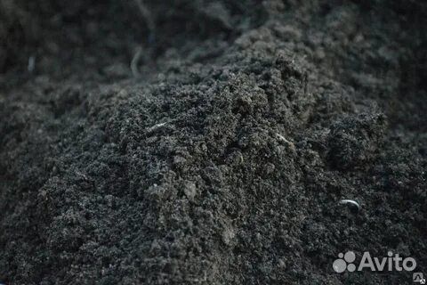 Чернозём рассыпчатый