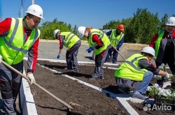 Рабочий на благоустройство