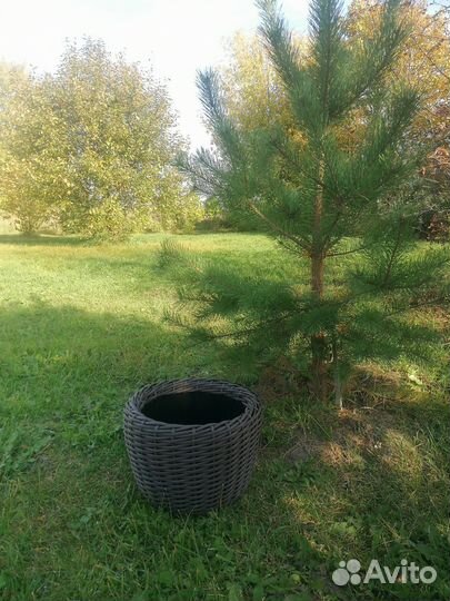 Кашпо из ротанга 12 литров