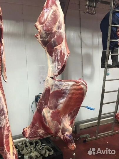 Мясо говядины