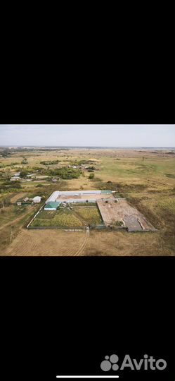 Фермерское хозяйство Честная ферма