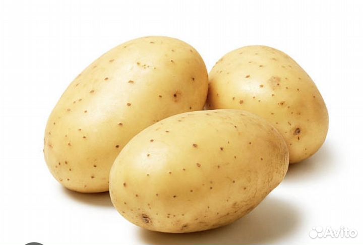 Продам картофель урожай 2023