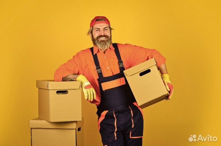 Грузчики с ежедневной оплатой