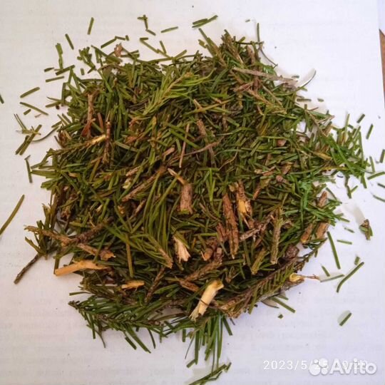 Пихтовая хвоя с лапкой