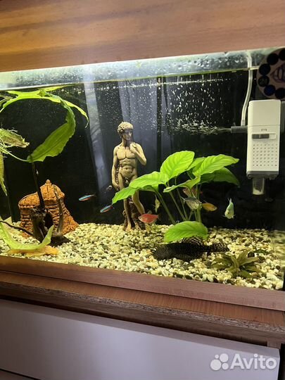 Аквариум с рыбками