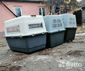 Большие переноски для огромных собак