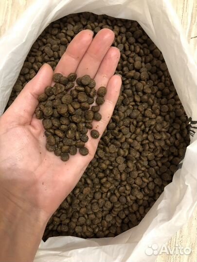 Корм для собак Blitz holistic