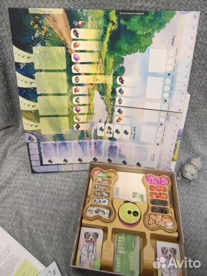 Прогулки с собаками в идеале