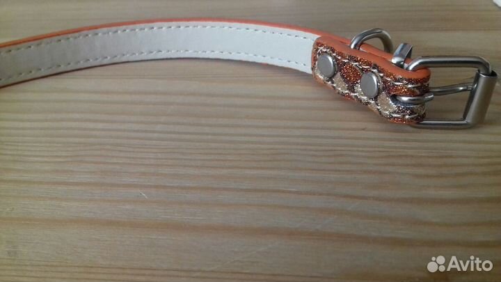 Ошейник для маленькой собачки