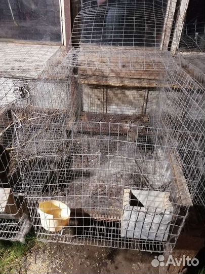 Клетка для кролика