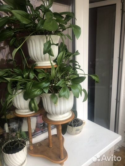 Подставка под цветы