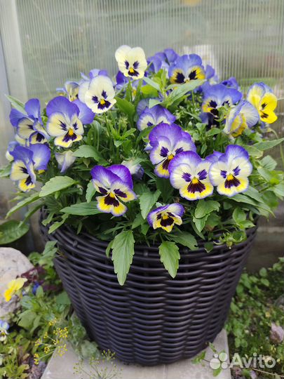 Кашпо для цветов из искусственного ротанга