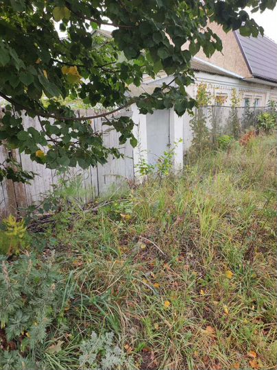 Дом 49,7 м² на участке 5,3 сот.