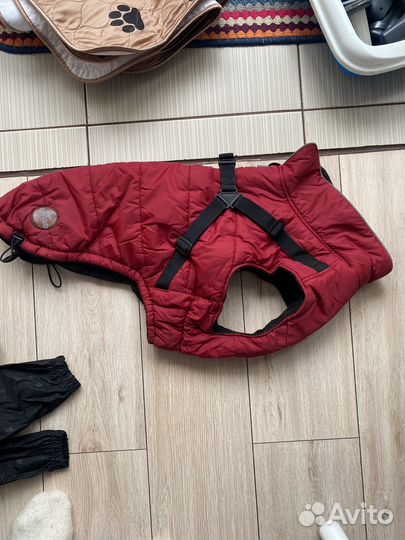 Дождевик курточка свитер для собак