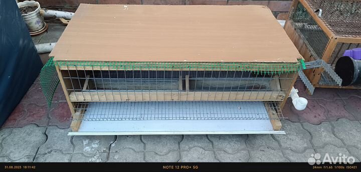 Клетки для перепелов бу