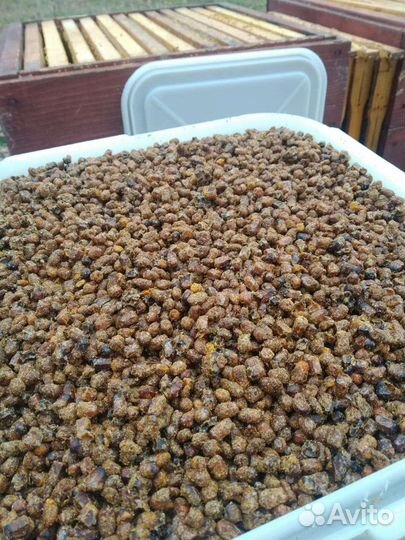 Перга, мëд, прополис, пчелы, воск