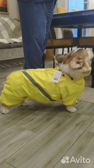 Дождевик для собак