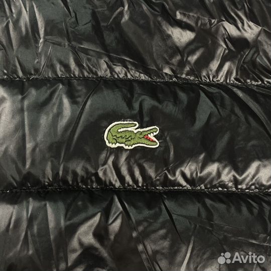 Пуховик Supreme x Lacoste SS17 оригинал