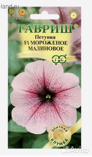 Рассада петунии