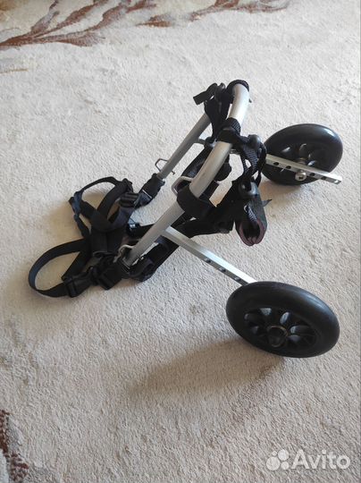 Инвалидная коляска для животных